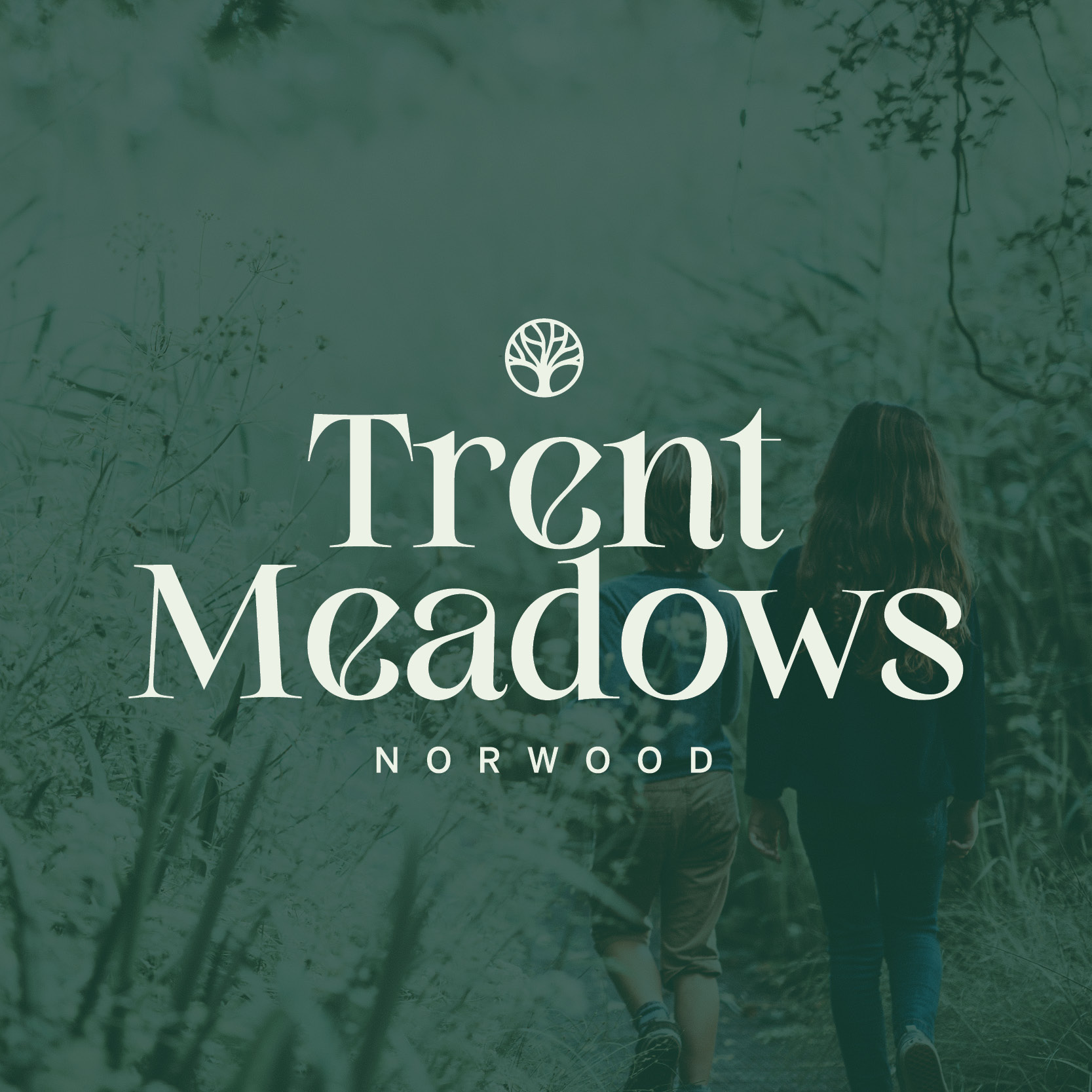 Trent Meadows